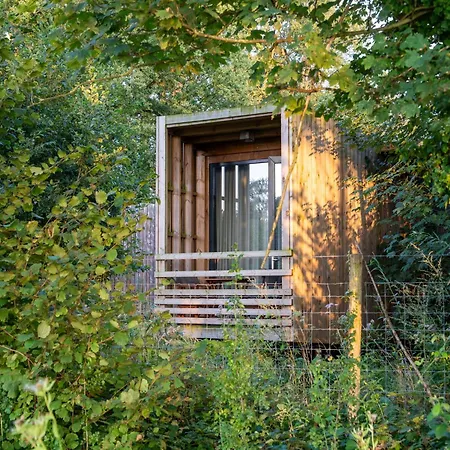 Cozy Forest Escape In Hainaut *